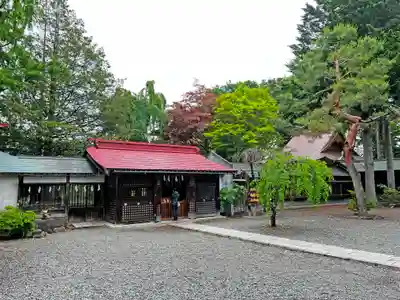 琴似神社(北海道)