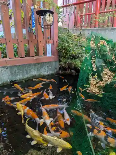 秩父神社(埼玉県)