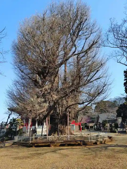 千葉寺(千葉県)