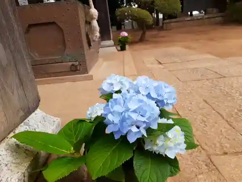 伏木香取神社の自然