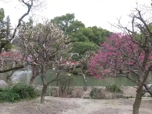 太宰府天満宮の庭園