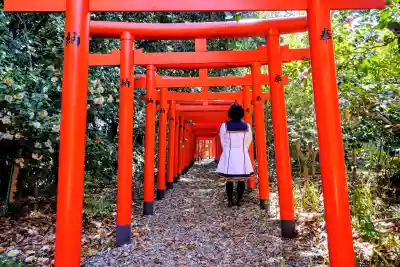 満福寺（三好稲荷閣）の{uncategorized: "未分類", other: "その他", undefined: "問題あり", building: "その他建物", grave: "お墓", sacred_gate: "鳥居", guardian: "狛犬", statue: "像", buddha: "仏像", history: "歴史", nature: "自然", garden: "庭園", animal: "動物", pagoda: "塔", temizu: "手水舎", mountain_gate: "山門・神門", sanctuary: "本殿・本堂", subordinate: "末社・摂社", art: "芸術", scenery: "景色", jizo: "地蔵", ema: "絵馬", goshuin: "御朱印", omikuji: "おみくじ", items: "授与品その他", amulet: "お守り", goshuincho: "御朱印帳", eats: "食事", festival: "お祭り", votive_dance: "神楽", shichigosan: "七五三参", wedding: "結婚式", experience: "体験その他", initially: "初詣", around: "周辺", anti_infection: "感染症対策"}