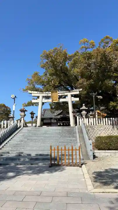 百舌鳥八幡宮(大阪府)