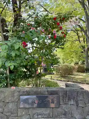 和樂備神社(埼玉県)