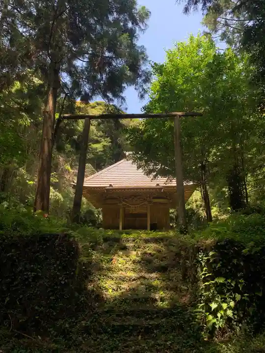 安房大杉神社(千葉県)