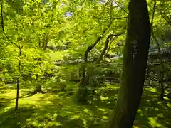 祇王寺(京都府)