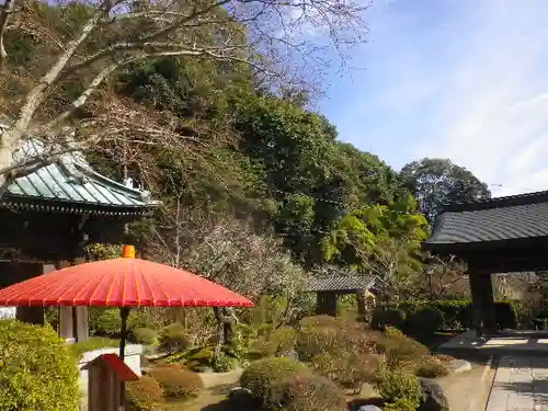 海蔵寺の庭園