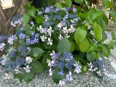 飛木稲荷神社(東京都)