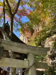 阿賀神社の鳥居