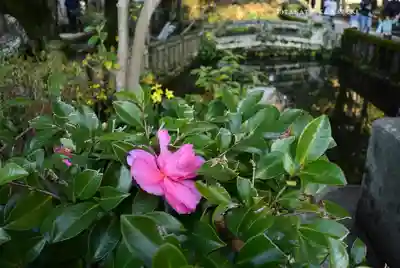 三嶋大社(静岡県)