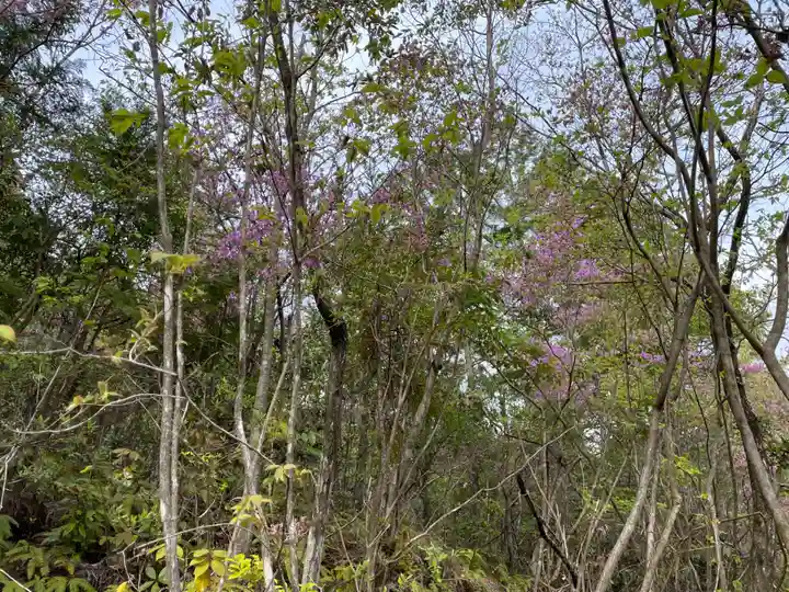 秋葉神社(京都府)