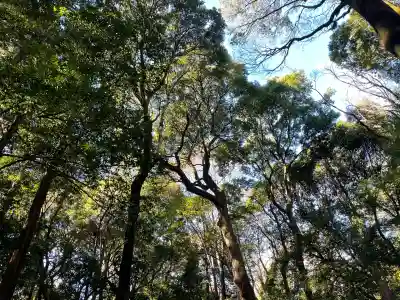 明治神宮(東京都)