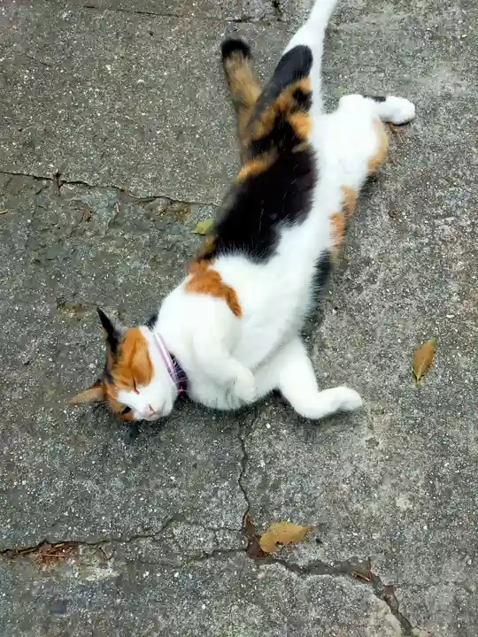 千光寺(広島県)