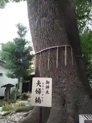 鳩ヶ谷氷川神社の建物その他