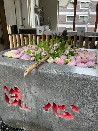 高円寺氷川神社(東京都)