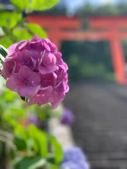 熊野那智大社の自然