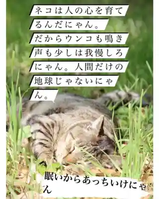 専念寺(大阪府)