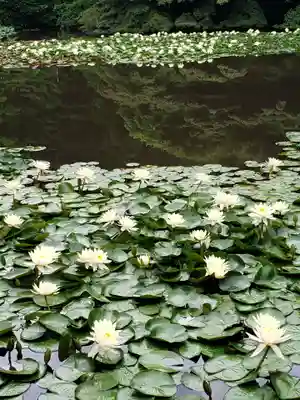 明治神宮(東京都)