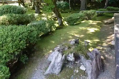 若狭神宮寺の庭園