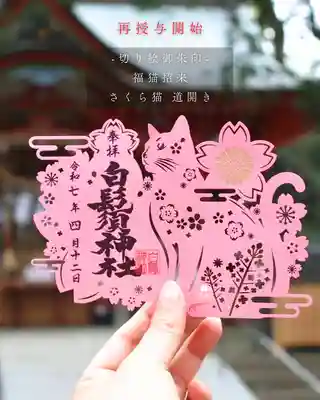 白鬚神社の御朱印