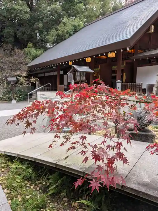乃木神社(東京都)