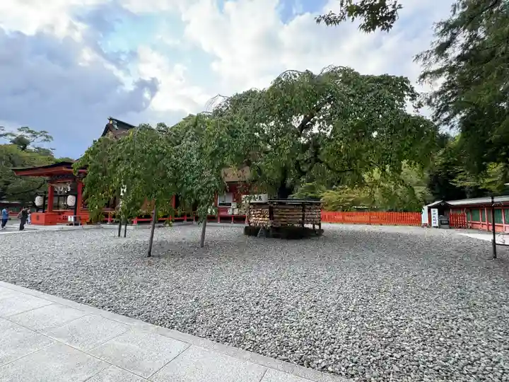 富士山本宮浅間大社(静岡県)