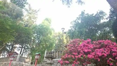 下野國一社八幡宮(栃木県)