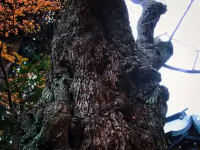 駒形神社(岩手県)