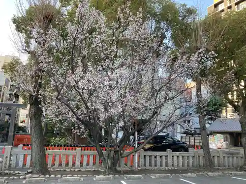 生田神社(兵庫県)