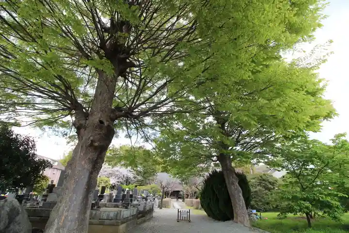 命徳寺(神奈川県)