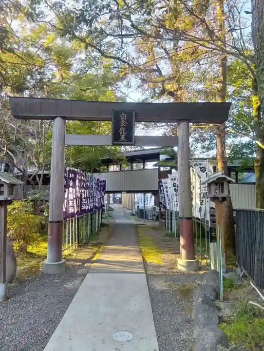 白金龍王社(愛知県)