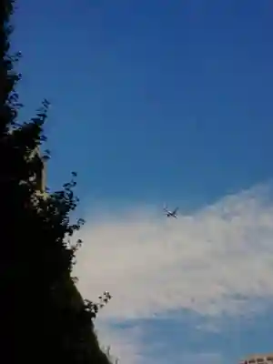 熊野神社(東京都)