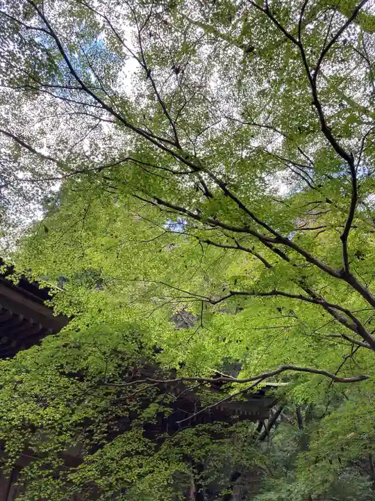 室生寺(奈良県)