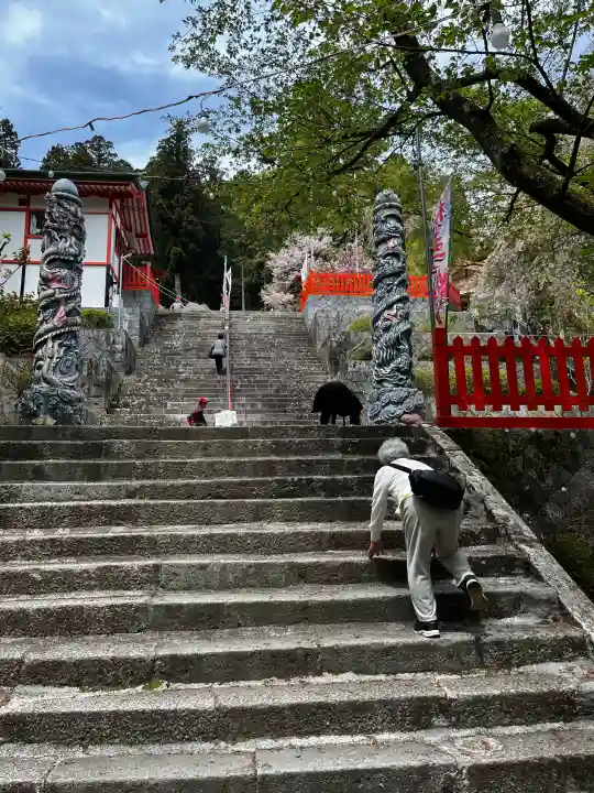 金櫻神社の{uncategorized: "未分類", other: "その他", undefined: "問題あり", building: "その他建物", grave: "お墓", sacred_gate: "鳥居", guardian: "狛犬", statue: "像", buddha: "仏像", history: "歴史", nature: "自然", garden: "庭園", animal: "動物", pagoda: "塔", temizu: "手水舎", mountain_gate: "山門・神門", sanctuary: "本殿・本堂", subordinate: "末社・摂社", art: "芸術", scenery: "景色", jizo: "地蔵", ema: "絵馬", goshuin: "御朱印", omikuji: "おみくじ", items: "授与品その他", amulet: "お守り", goshuincho: "御朱印帳", eats: "食事", festival: "お祭り", votive_dance: "神楽", shichigosan: "七五三参", wedding: "結婚式", experience: "体験その他", initially: "初詣", around: "周辺", anti_infection: "感染症対策"}