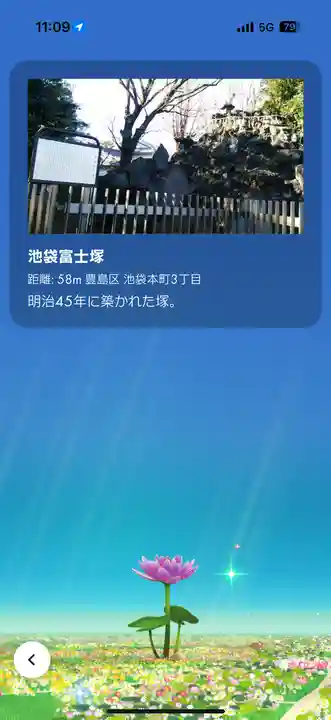 池袋氷川神社(東京都)