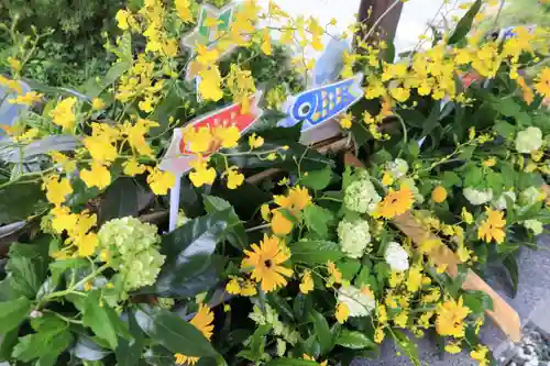 豊景神社の手水