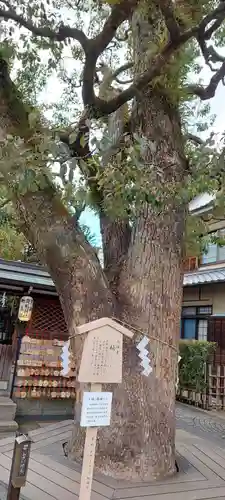 晴明神社(京都府)