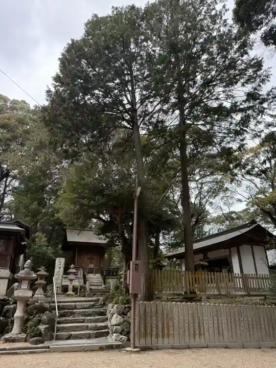 往馬坐伊古麻都比古神社の{uncategorized: "未分類", other: "その他", undefined: "問題あり", building: "その他建物", grave: "お墓", sacred_gate: "鳥居", guardian: "狛犬", statue: "像", buddha: "仏像", history: "歴史", nature: "自然", garden: "庭園", animal: "動物", pagoda: "塔", temizu: "手水舎", mountain_gate: "山門・神門", sanctuary: "本殿・本堂", subordinate: "末社・摂社", art: "芸術", scenery: "景色", jizo: "地蔵", ema: "絵馬", goshuin: "御朱印", omikuji: "おみくじ", items: "授与品その他", amulet: "お守り", goshuincho: "御朱印帳", eats: "食事", festival: "お祭り", votive_dance: "神楽", shichigosan: "七五三参", wedding: "結婚式", experience: "体験その他", initially: "初詣", around: "周辺", anti_infection: "感染症対策"}