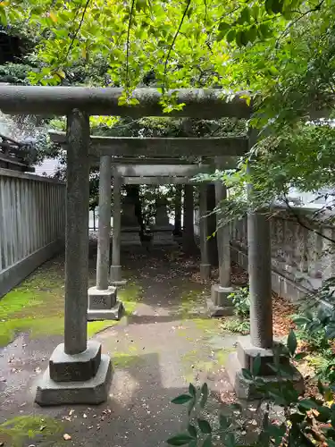 國領神社の鳥居