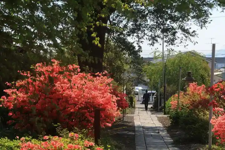 豊景神社の景色