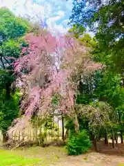 岡見八坂神社(茨城県)