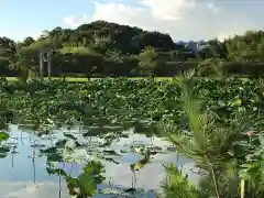 牟禮山観音禅寺の自然