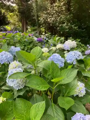 吉備津神社(岡山県)