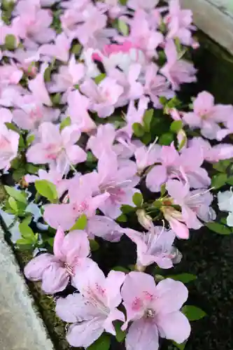 円泉寺(埼玉県)