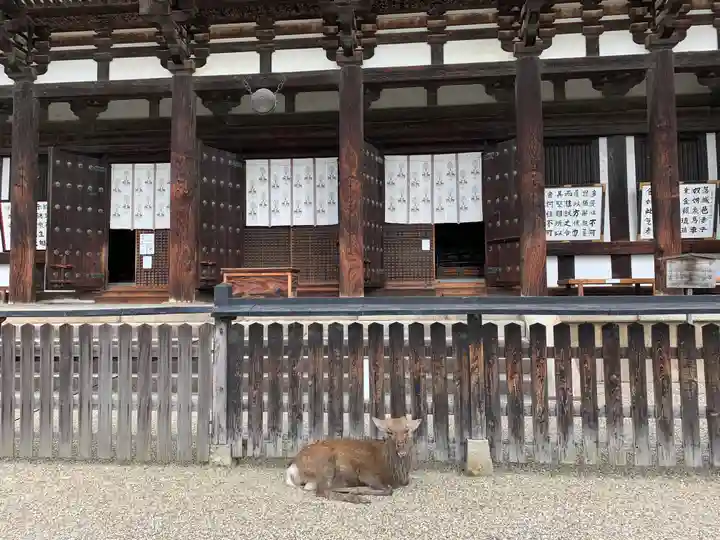 興福寺の本殿・本堂