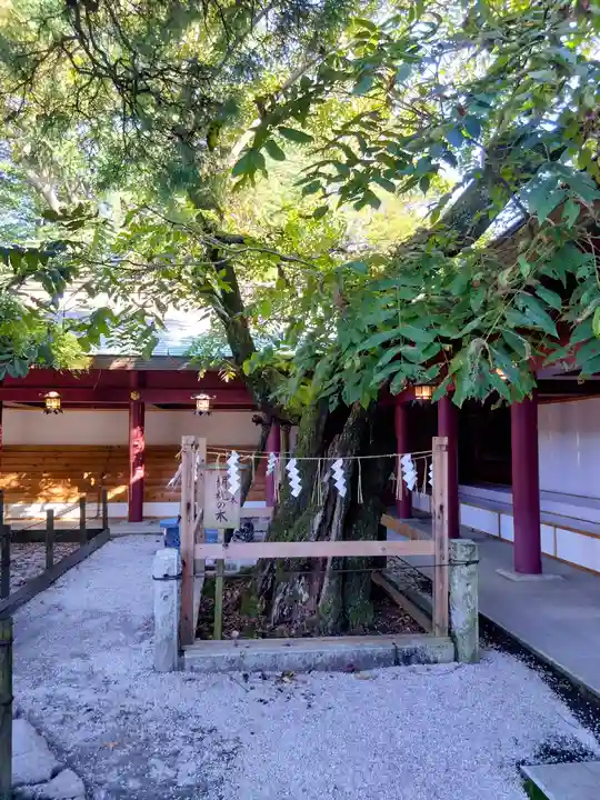 笠間稲荷神社(茨城県)