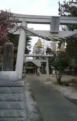 上青木氷川神社(埼玉県)