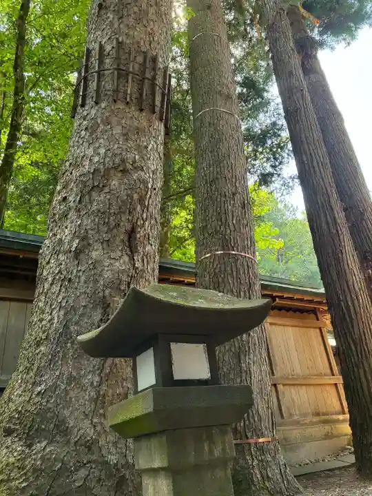 諏訪大社の{uncategorized: "未分類", other: "その他", undefined: "問題あり", building: "その他建物", grave: "お墓", sacred_gate: "鳥居", guardian: "狛犬", statue: "像", buddha: "仏像", history: "歴史", nature: "自然", garden: "庭園", animal: "動物", pagoda: "塔", temizu: "手水舎", mountain_gate: "山門・神門", sanctuary: "本殿・本堂", subordinate: "末社・摂社", art: "芸術", scenery: "景色", jizo: "地蔵", ema: "絵馬", goshuin: "御朱印", omikuji: "おみくじ", items: "授与品その他", amulet: "お守り", goshuincho: "御朱印帳", eats: "食事", festival: "お祭り", votive_dance: "神楽", shichigosan: "七五三参", wedding: "結婚式", experience: "体験その他", initially: "初詣", around: "周辺", anti_infection: "感染症対策"}