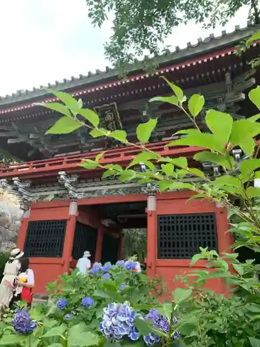 楽法寺（雨引観音）の山門