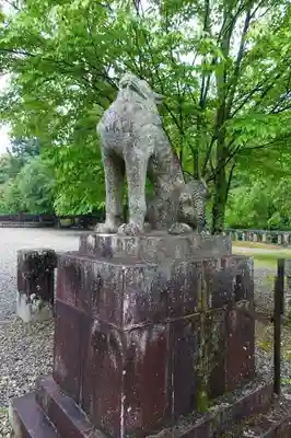 吉野神宮の狛犬